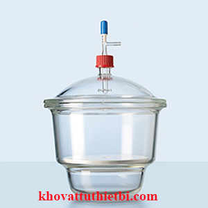 Bình hút ẩm có vòi dạng Mobilex, vĩ sứ, nắp vặn GL32, Khóa PTFE - Duran