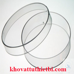 Hộp lồng petri - Đĩa petri