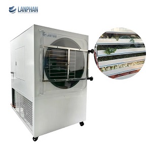 Máy sấy thăng hoa - máy đông khô 5m2 10kg/lần sấy HFD-50