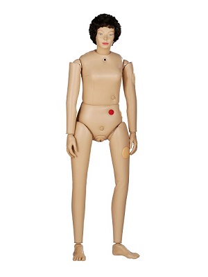 Mô hình búp bê Bedford nữ cao cấp AR1000