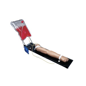 Mô hình cánh tay thực hành tiêm trẻ em 5 tuổi 1018860 3B Scientific