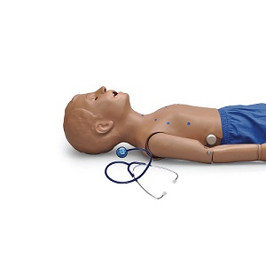 Mô hình thực hành nghe tim phổi trẻ em cơ bản 1020853 3B SCIENTIFIC