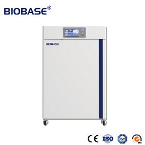 Tủ ấm CO2 80 lít (có tiệt trùng UV) BJPX-C80 BioBase