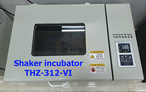 Tủ ấm lắc THZ-312