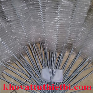 Chổi rửa thí nghiệm