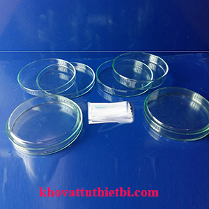 Hộp lồng Petri - Đĩa Petri