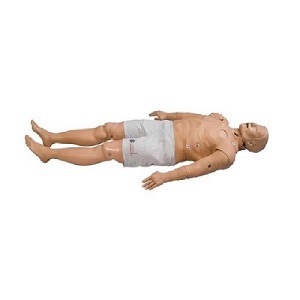 Mô hình mô phỏng bệnh nhân 1018473 3B SCIENTIFIC